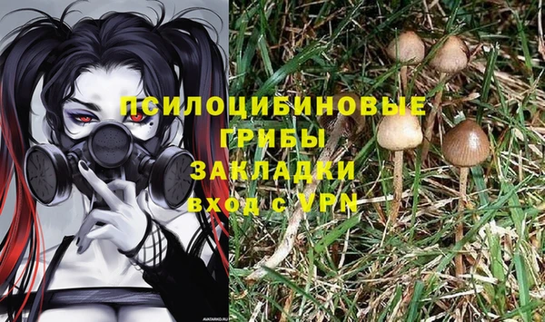 таблы Медвежьегорск