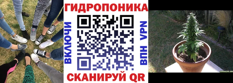 Конопля LSD WEED  Энем 
